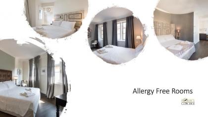 Novella Goldoni Suite-An Allergy Free Rooms Project - image 1