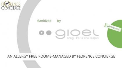 Novella Goldoni Suite-An Allergy Free Rooms Project - image 4