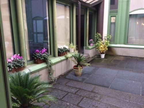 1 bedroom flat for 4 persons - image 7