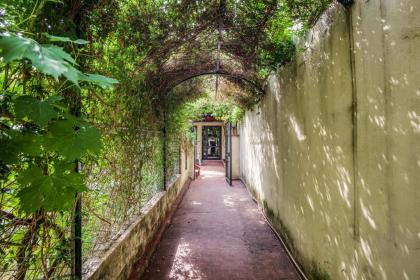 Santa Reparata Apartment with Patio and Terrace - image 19