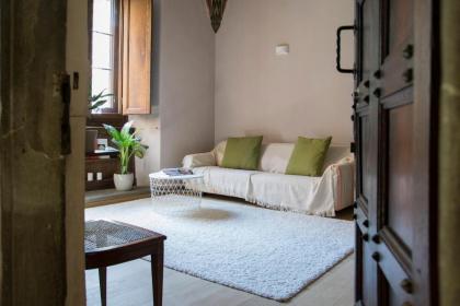 Apartments Florence - In the heart of Palazzo Guicciardini - image 12