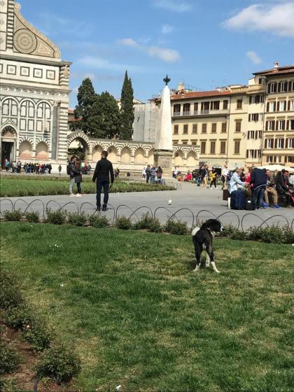 Bed and Breakfast in Florence 