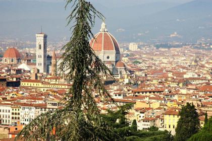 B&Brandi - Sweet Dreams in Florence - image 19